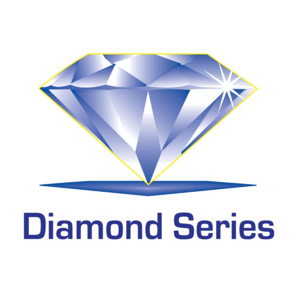 Diamond Paint Brush